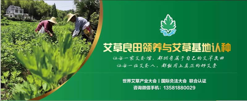 艾田认种申请:艾草良田领养与艾草基地认种