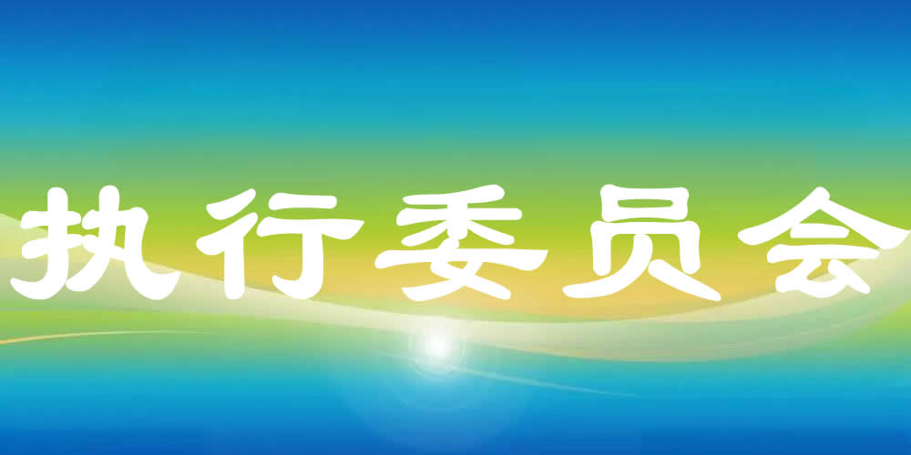 执行委员会