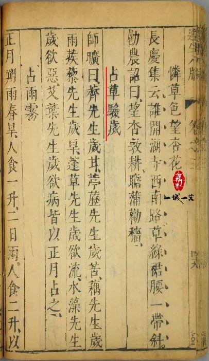 占草验岁，一种古老的民间占卜风俗