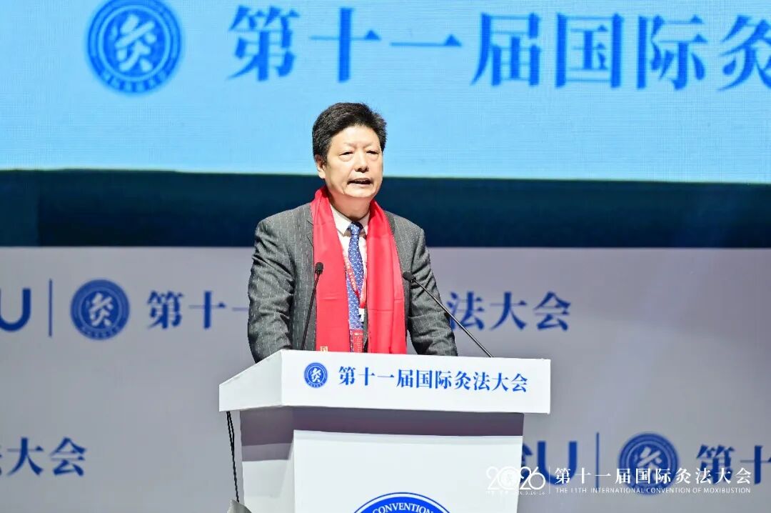 杨金生：赋能灸法传承创新，共筑中医药国际